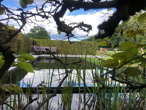 Garden, Swimming pool