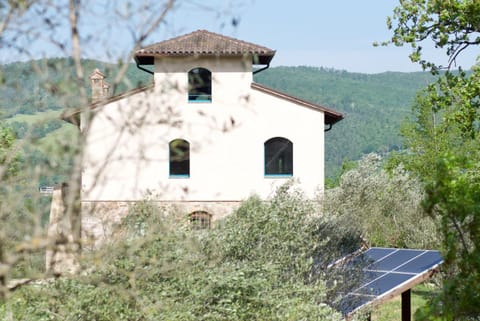 Property building, Day, Natural landscape