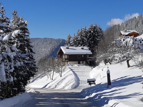 Nearby landmark, Natural landscape, Winter, Ski School, Skiing, Mountain view, Seasons