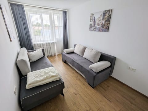 Lovely 2-bedroom flat in the heart of Druskininkai Apartment in Lithuania