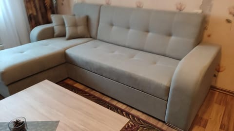 Rami nakvynė Panevėžyje Apartment in Lithuania