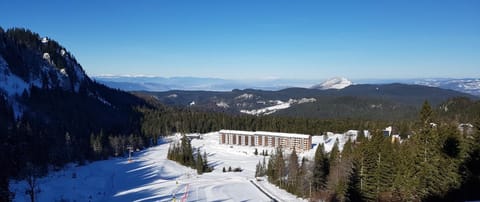 Day, Natural landscape, Winter