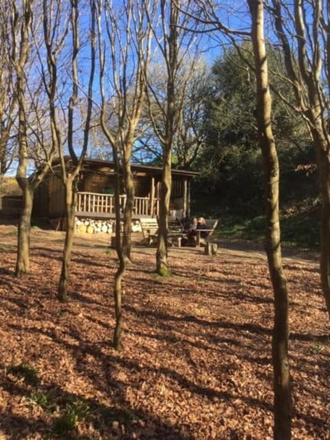 Secret Woodland Hideaway for two Campground/
RV Resort in Woolacombe