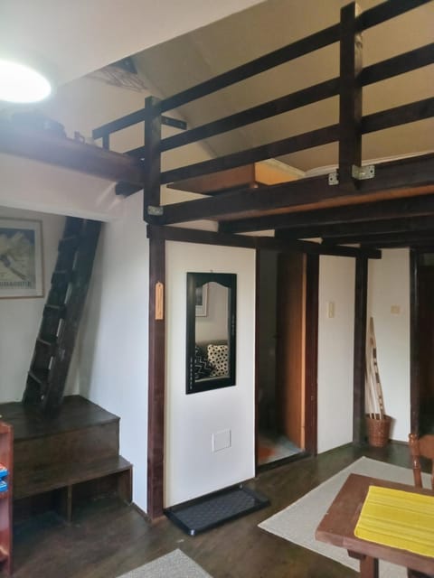 Bele Staze 84, Ski tavanče, Brzeće Apartment in Serbia