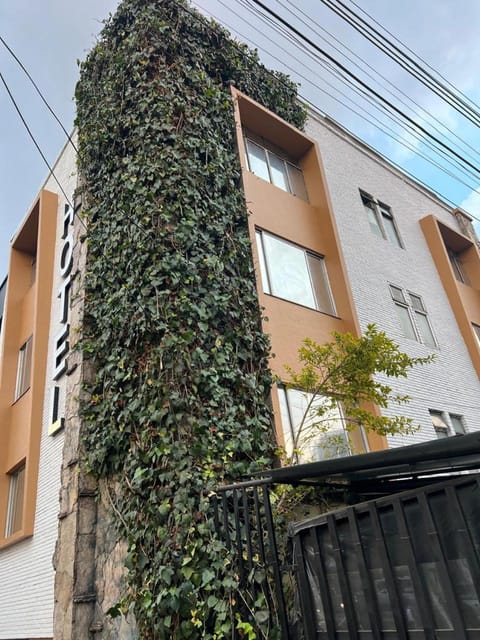 Property building, Day