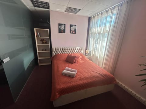 Draugystės apartmentai Apartment in Lithuania