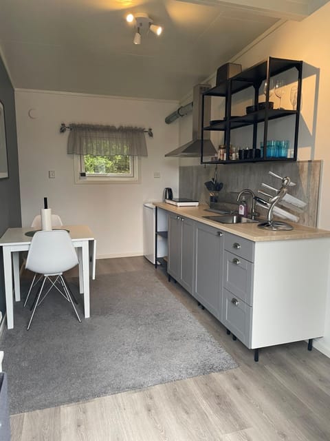 Kitchen or kitchenette, Dining area, stove