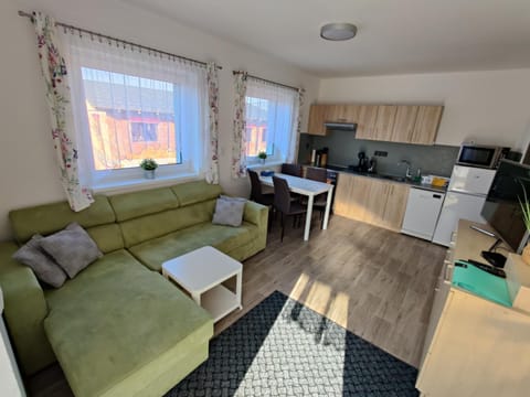 TV and multimedia, Kitchen or kitchenette, Living room, Seating area, Dining area, minibar, pet friendly, stove