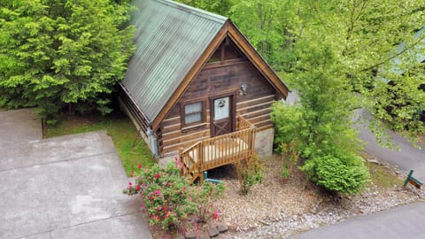 Property building, Day, Natural landscape