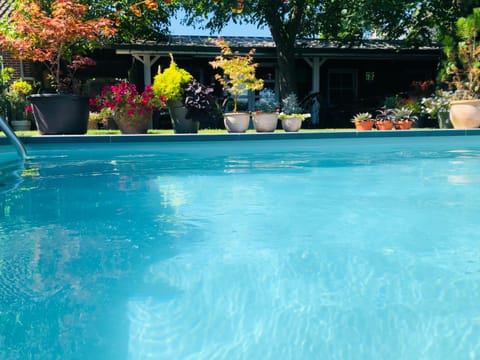 Day, Garden, Garden view, Pool view, Swimming pool