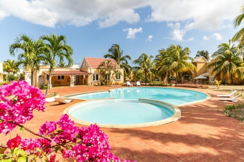 Garden view, Pool view, Swimming pool, Swimming pool