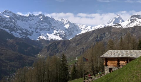 Natural landscape, View (from property/room)