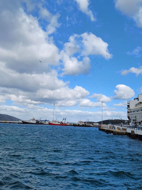 villa serenity Villa in Lasithi