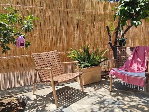 Day, Garden, Garden view