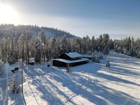 Day, Natural landscape, Winter