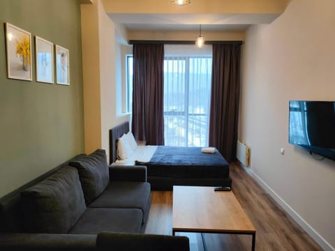 Bed, TV and multimedia, Living room, Photo of the whole room, Seating area