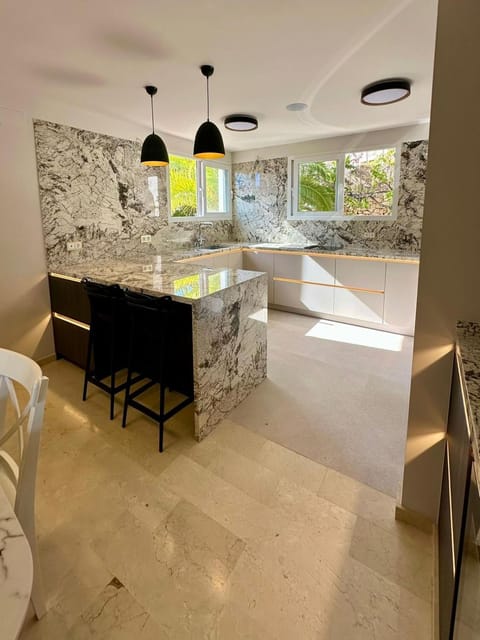 Kitchen or kitchenette, kitchen