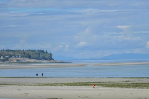 Kye Bay Winter Beach House by EMR Vacation Rentals House in Comox