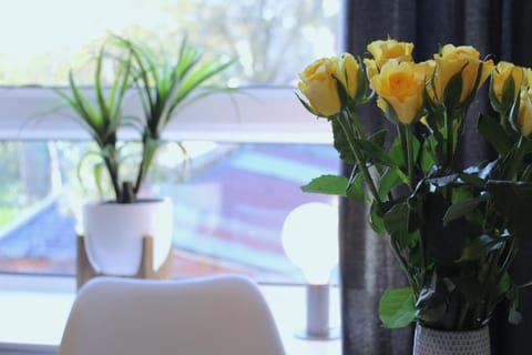 Modern Craigie Apartment Apartment in Perth