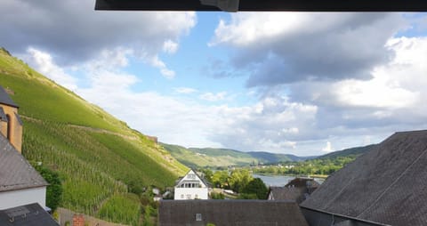 View (from property/room), River view