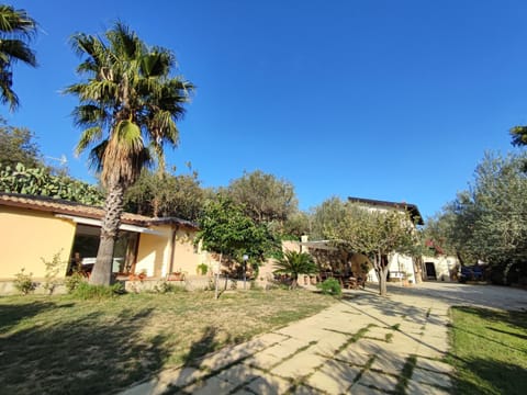 Property building, Garden, Garden, Garden view