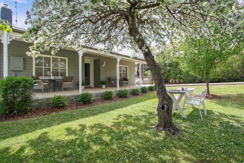 Patio, Garden, Garden view