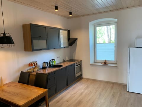 dishwasher, minibar, pet friendly, stove, kitchen