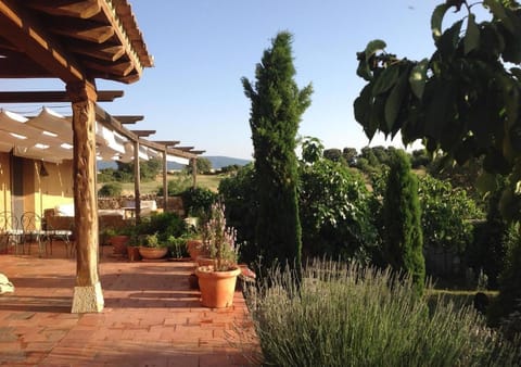 Spring, Day, Garden, Garden view