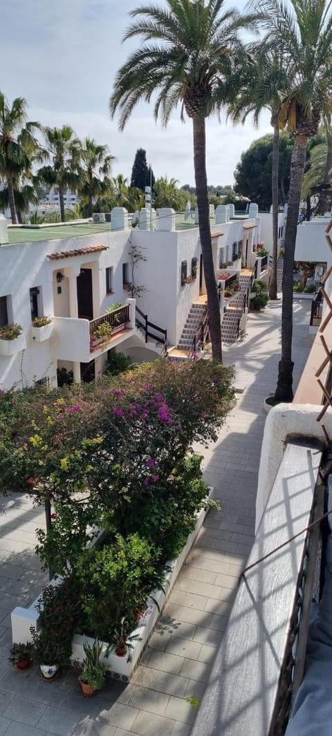 Garden view