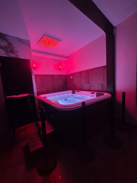 Appartement Spa - Jacuzzi privatif - Fer Rêver 63 Apartment in Thiers