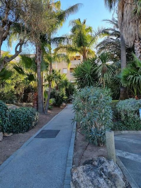 Appartement 2 pièces tout confort Apartment in Saint-Raphael