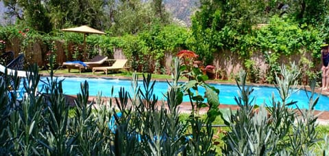 Garden, Pool view