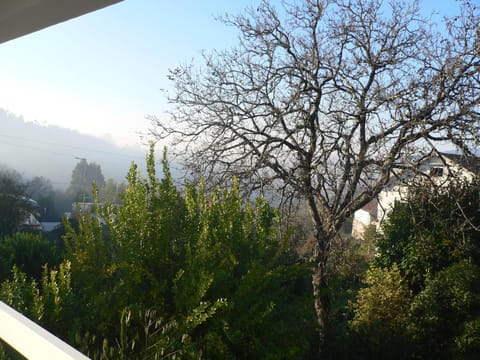 Maria João Villa in Viana do Castelo District, Portugal