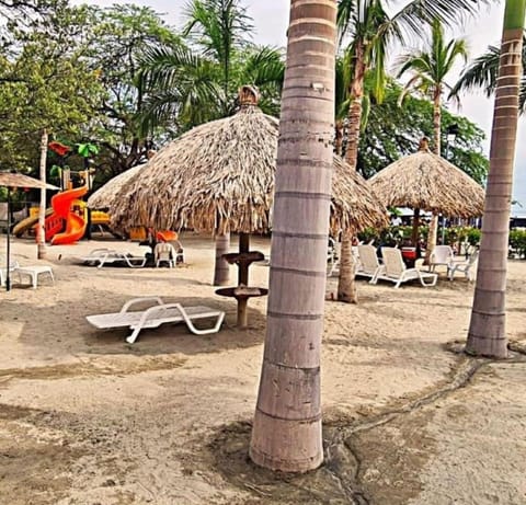 Beach