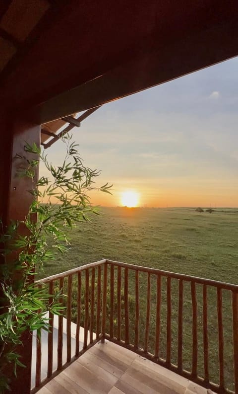 Balcony/Terrace, Balcony/Terrace, Sunset