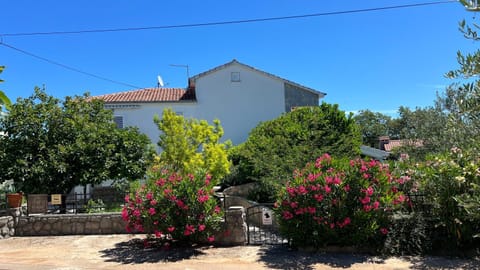 Property building, Garden view