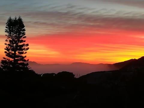 57 On Sea Apartment in Knysna