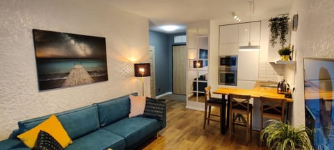 TV and multimedia, Kitchen or kitchenette, Living room, Decorative detail, Seating area, Dining area, minibar, pet friendly