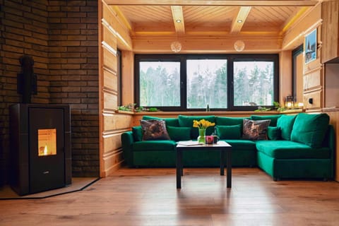 Living room, Seating area, fireplace, fireplace