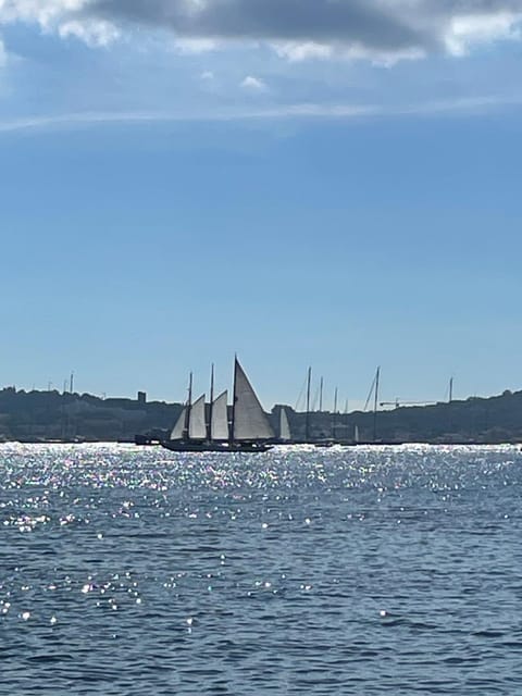 Le Mas de la Rose Bed and Breakfast in Lorgues