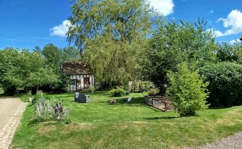 Day, Garden, Garden view