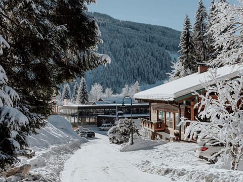 Appartements Elisabeth Apartment in Salzburgerland