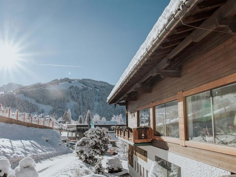 Appartements Elisabeth Apartment in Salzburgerland