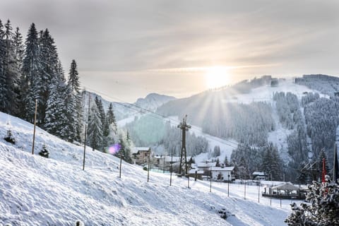 Appartements Elisabeth Apartment in Salzburgerland