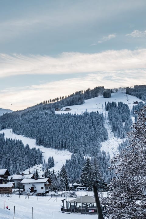 Appartements Elisabeth Apartment in Salzburgerland