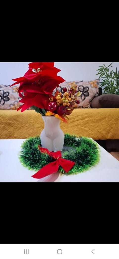 Mace MM :) Apartment in Vojvodina