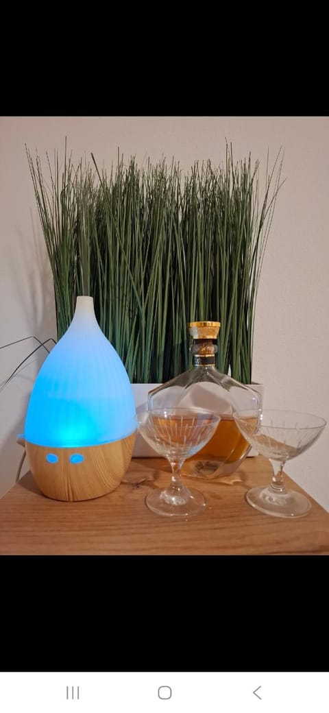 Mace MM :) Apartment in Vojvodina