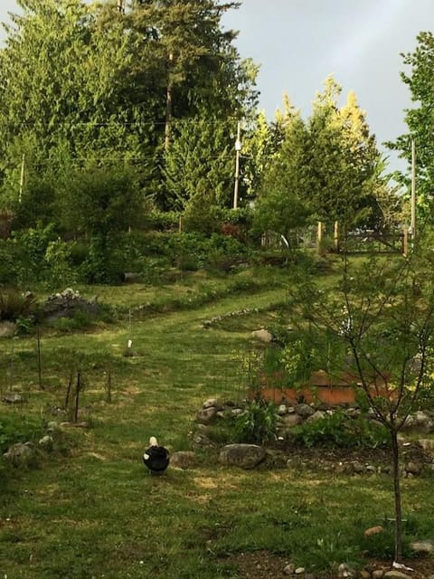 Natural landscape, Garden, Garden view