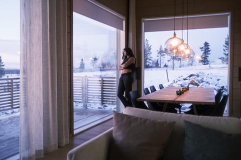 Tupasvilla Villa in Lapland