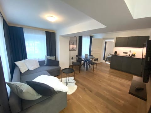 Kitchen or kitchenette, Living room, Seating area, Dining area